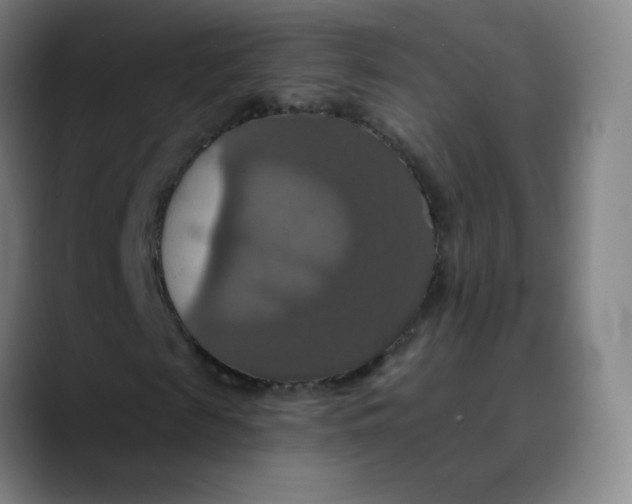 X0000089720817200707121429