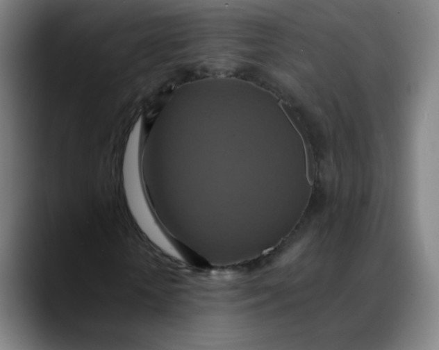 X0000089720818200707121429