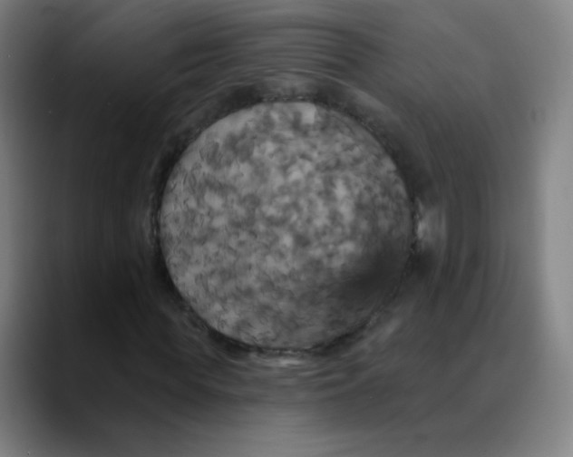 X0000089720819200707121429