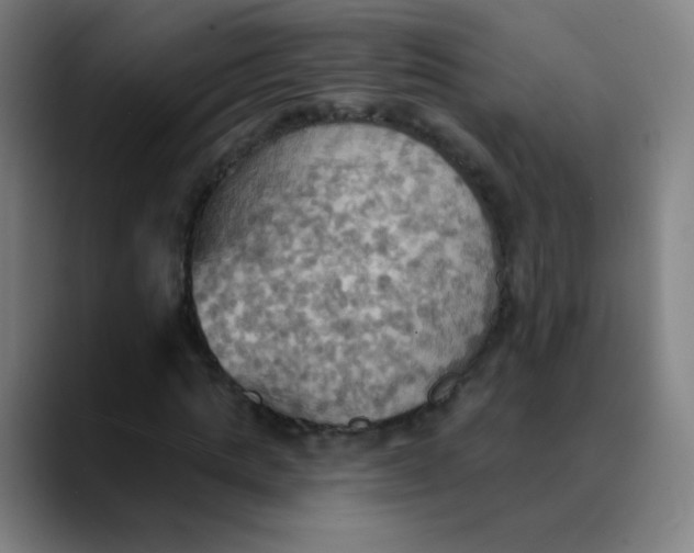 X0000089720821200707121429