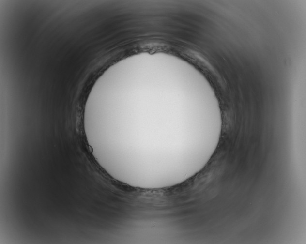 X0000089720823200707121429