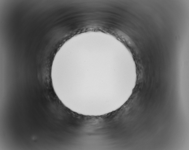 X0000089720824200707121429