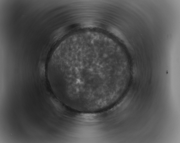 X0000089720825200707121429