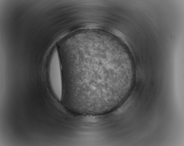 X0000089720827200707121429