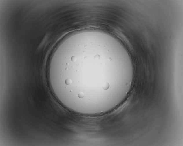 X0000089720828200707121429