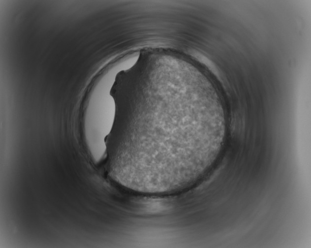 X0000089720829200707121429