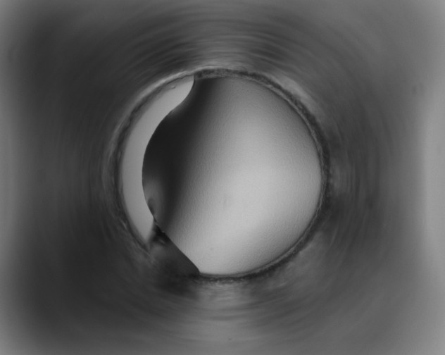 X0000089720830200707121429