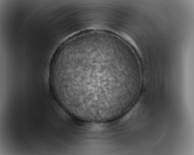 X0000089720831200707121429