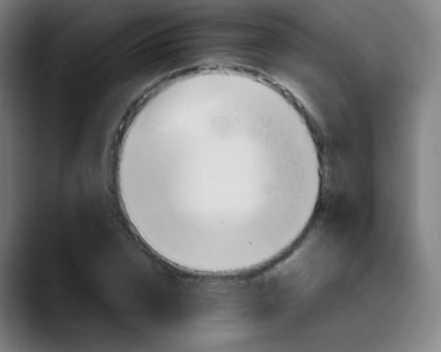 X0000089720832200707121429