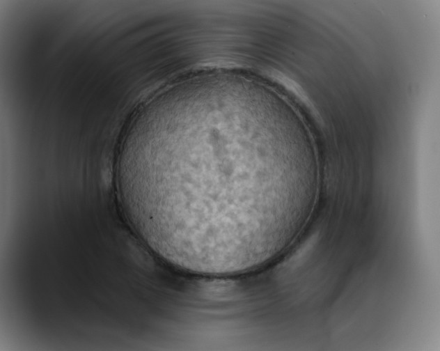 X0000089720833200707121429