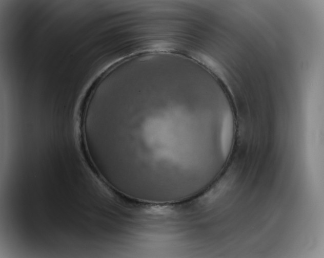 X0000089720835200707121429