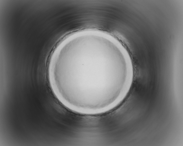 X0000089720836200707121429