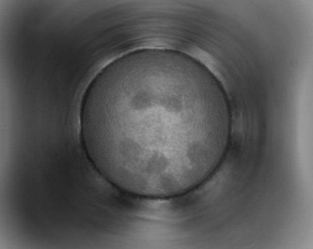 X0000089720837200707121429