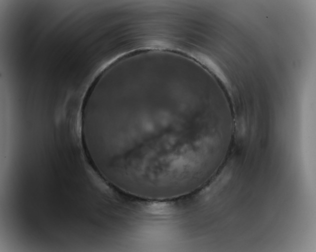 X0000089720839200707121429