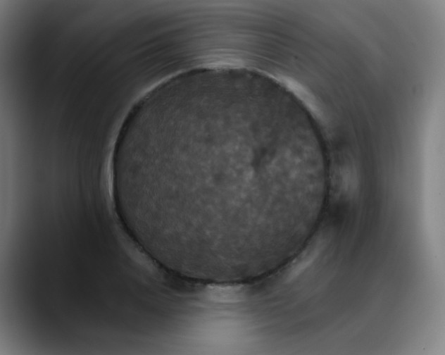 X0000089720840200707121429