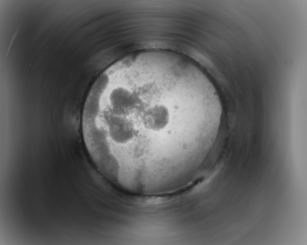 X0000089720841200707121429