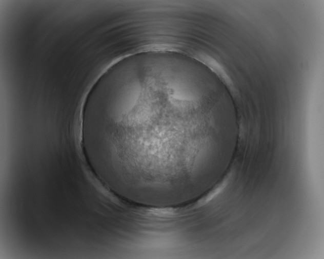 X0000089720844200707121429