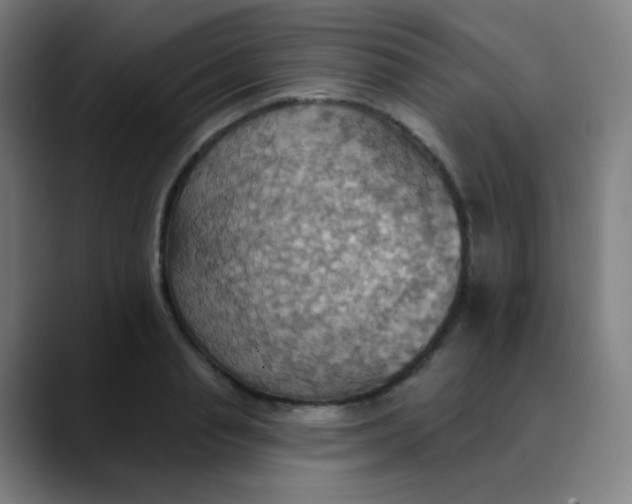 X0000089720845200707121429