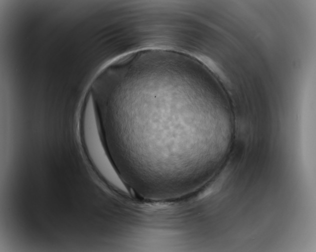 X0000089720846200707121429