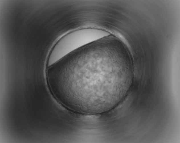 X0000089720847200707121429