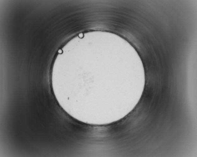 X0000089720848200707121429