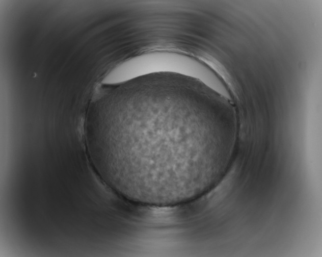 X0000089720849200707121429