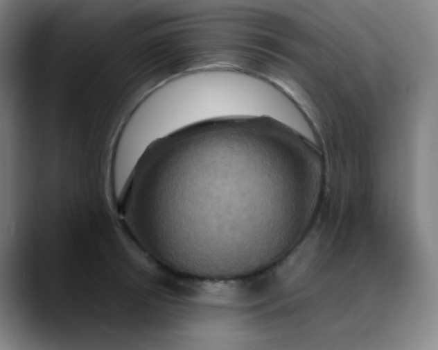 X0000089720850200707121429