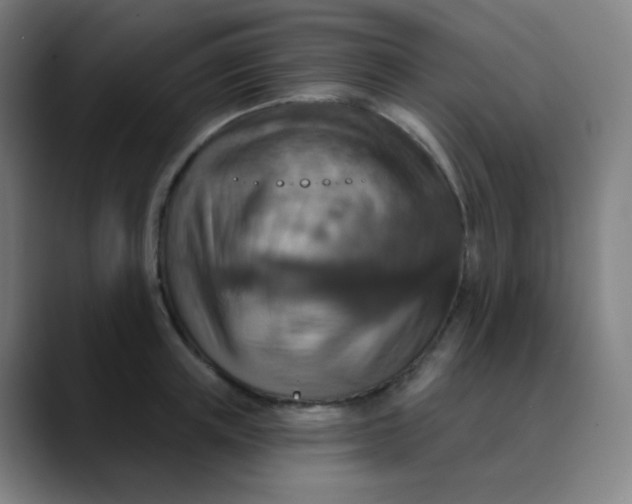 X0000089720851200707121429