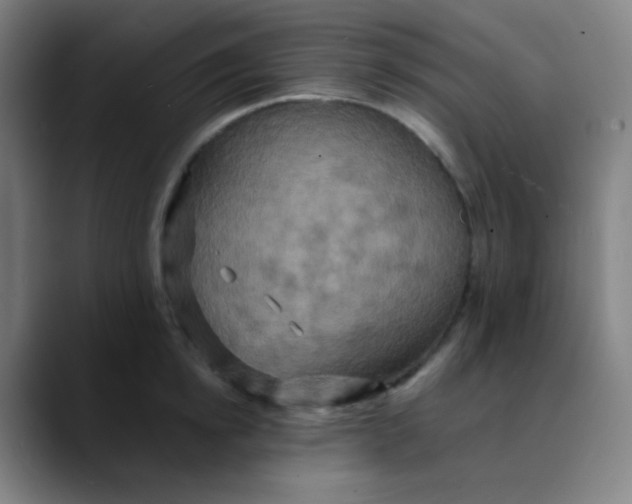 X0000089720854200707121429