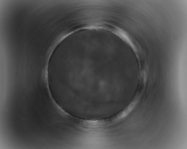 X0000089720855200707121429