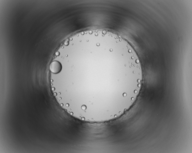 X0000089720856200707121429