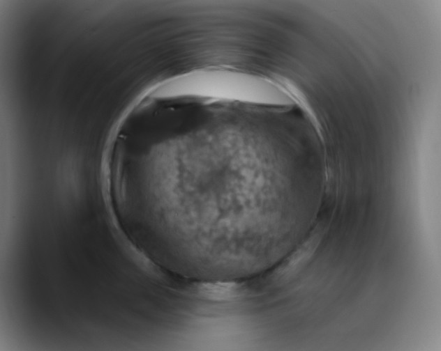 X0000089720859200707121429