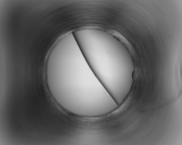 X0000089720860200707121429