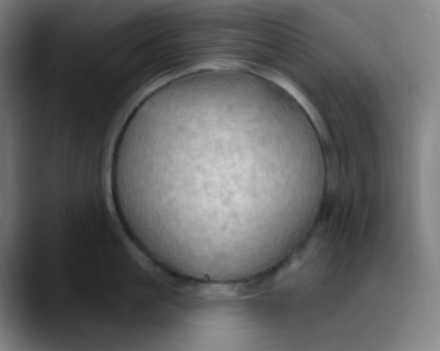 X0000089720861200707121429