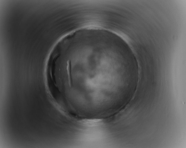 X0000089720864200707121429