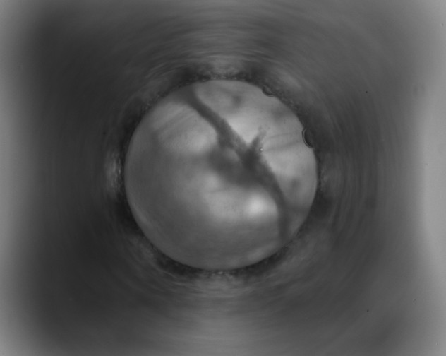 X0000089720866200707121429