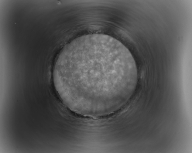 X0000089720868200707121429