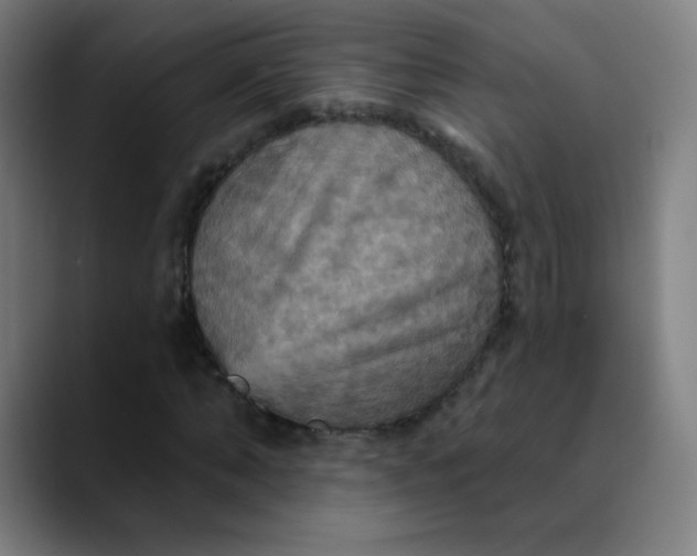 X0000089720870200707121429