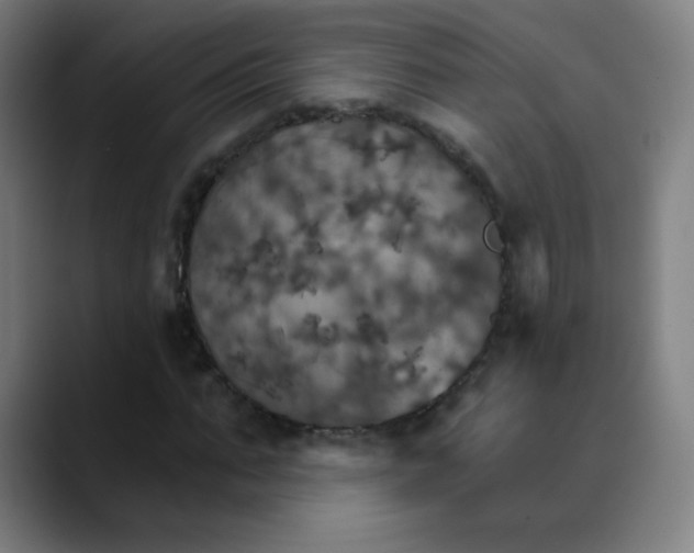 X0000089720871200707121429