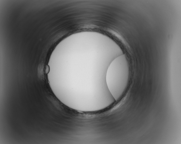 X0000089720873200707121429