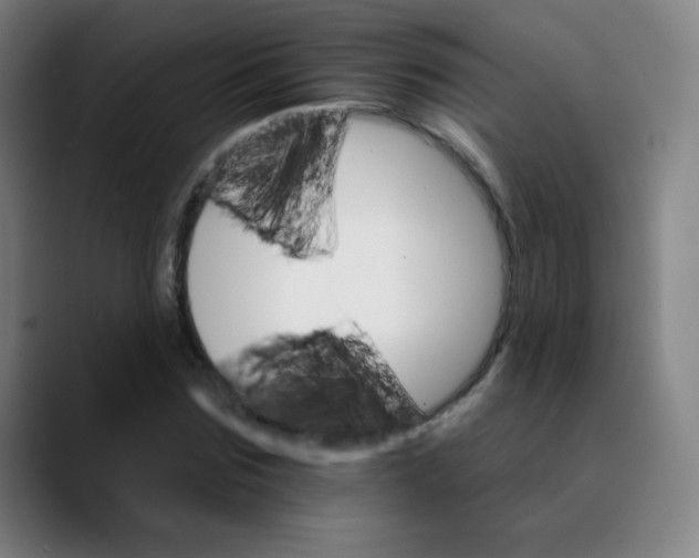 X0000089720875200707121429