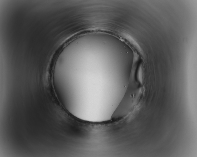 X0000089720876200707121429