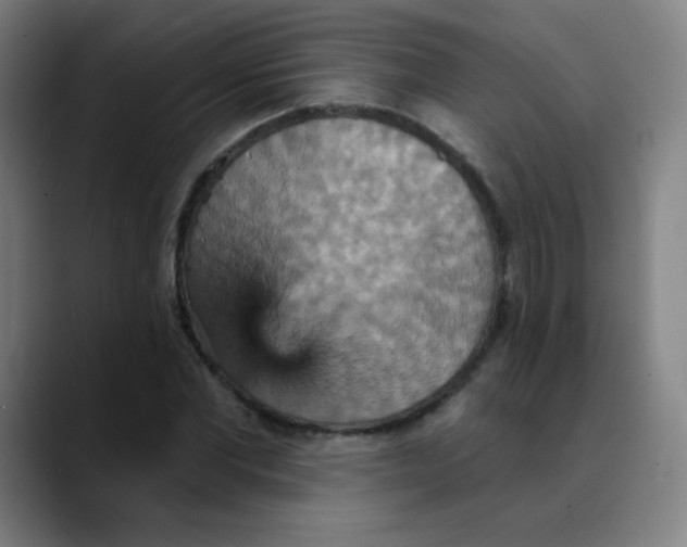 X0000089720877200707121429