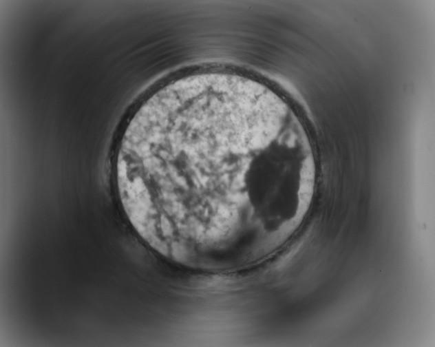 X0000089720879200707121429