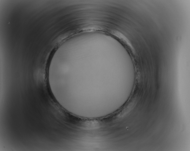 X0000089720882200707121429