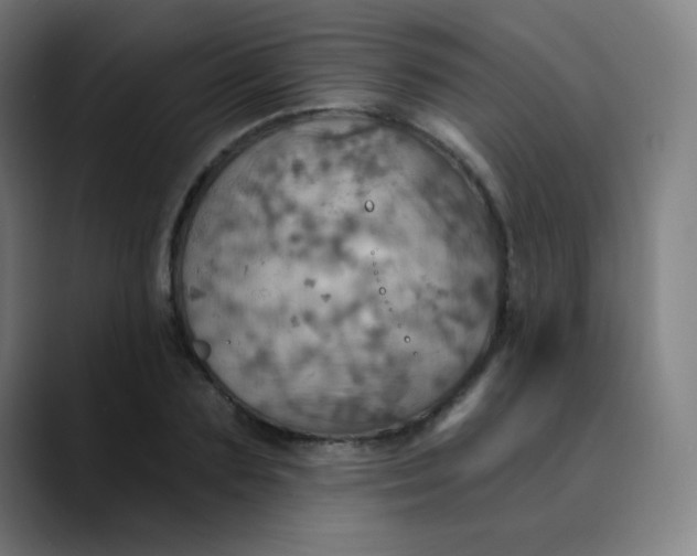 X0000089720883200707121429