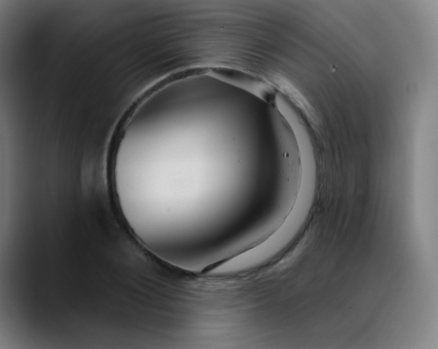 X0000089720884200707121429