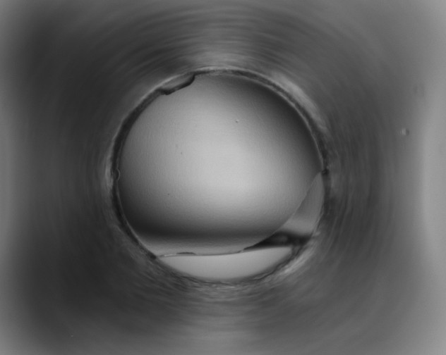 X0000089720885200707121429