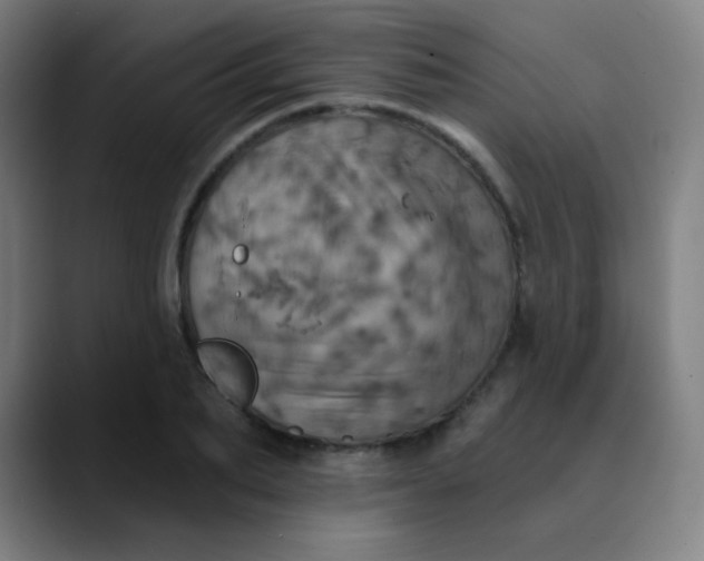 X0000089720887200707121429