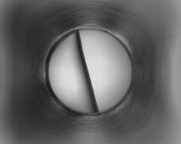 X0000089720888200707121429